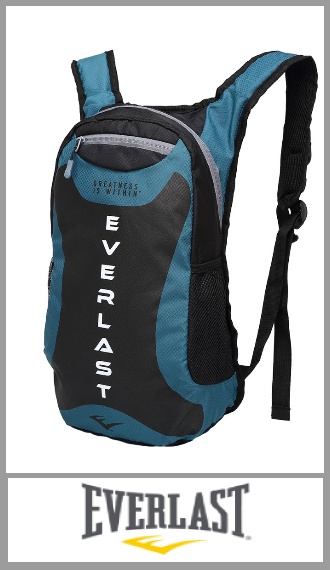 Mochila EVERLAST RUNNING de 17 pulgadas, con tiras y espalda acolchonadas para mayor comodidad, correa de ajuste pectoral y bolsillo lateral porta botellas. Ideal para uso deportivo o como mochila de uso diario. De medidas aproximadas 48cm x 24cm x 9cm. Pack por unidad.